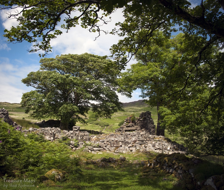 Glan-llyn-y-forwyn farm, Iain Robinson, ruins, trees